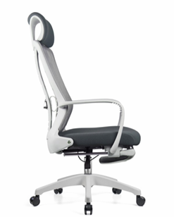 SKEL Office Chair